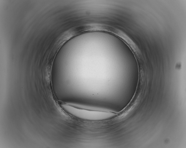 X0000097650857200803142108