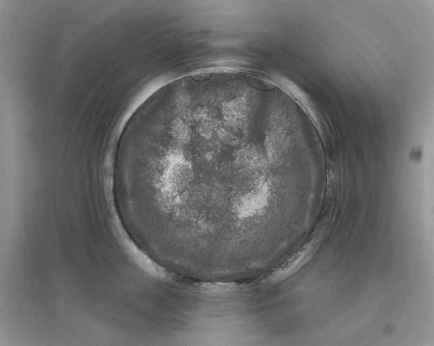 X0000097650859200803142108