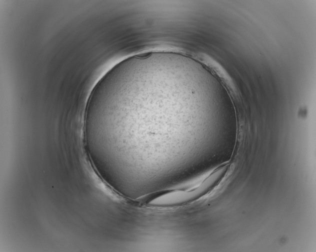 X0000097650860200803142108