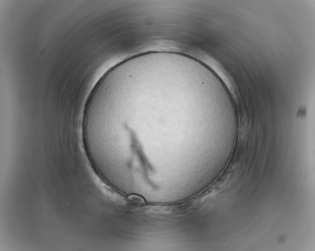 X0000097650861200803142108