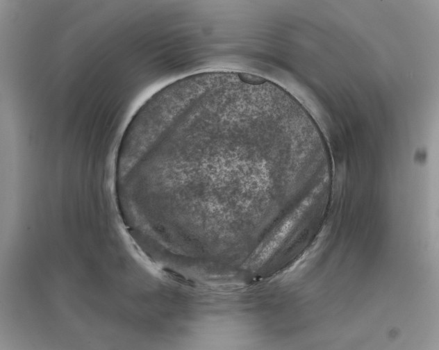 X0000097650862200803142108