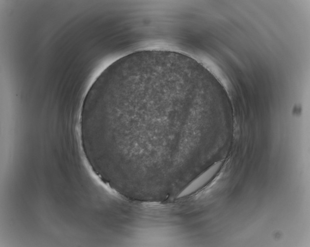 X0000097650863200803142108