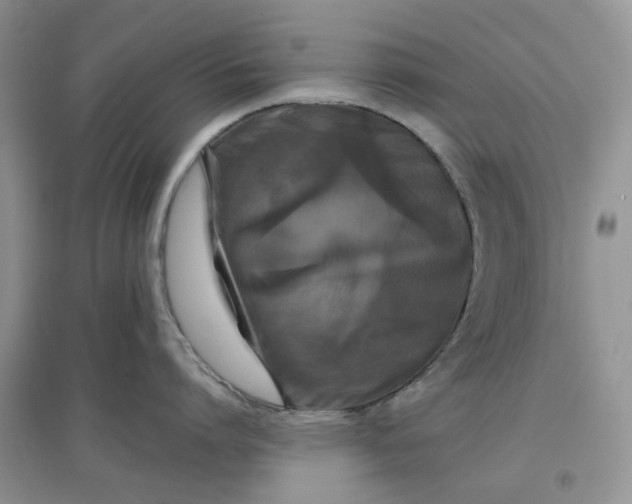 X0000097650864200803142108