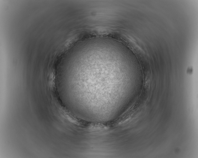 X0000097650866200803142108