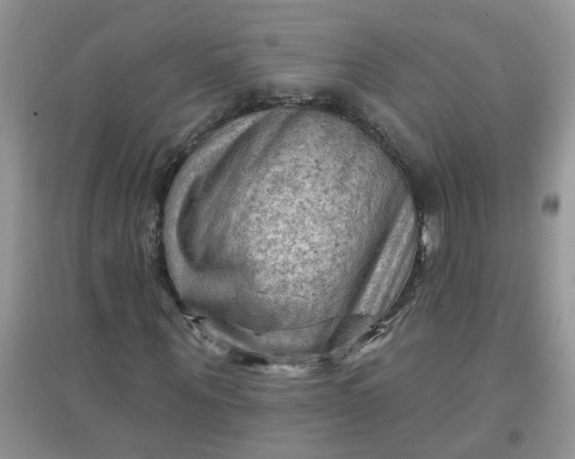 X0000097650867200803142108