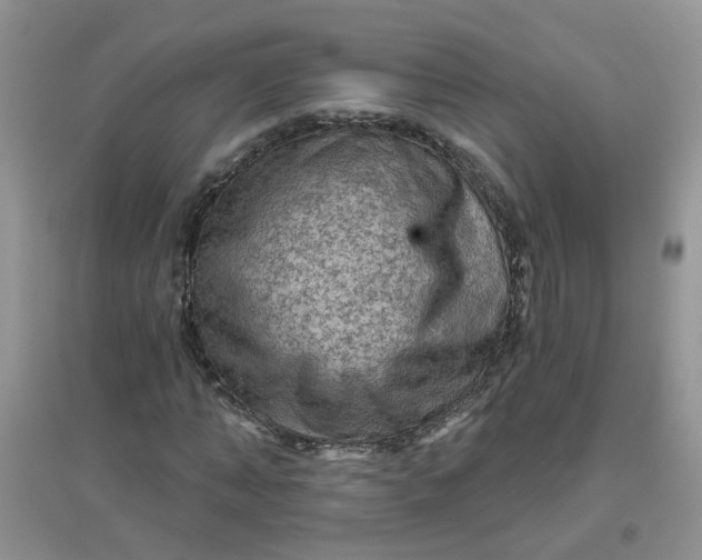 X0000097650870200803142107