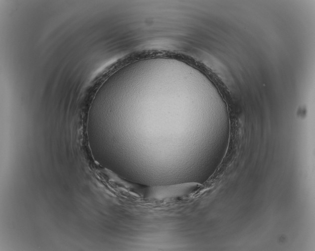 X0000097650872200803142107