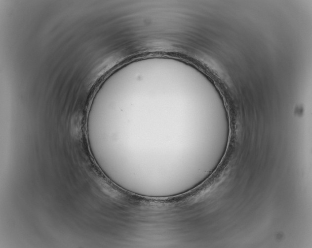 X0000097650873200803142107