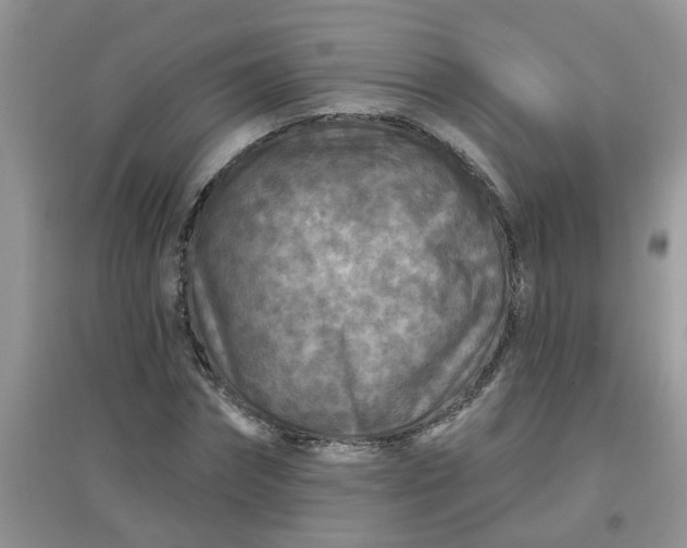 X0000097650874200803142107