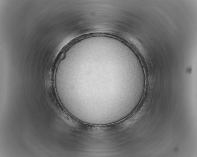 X0000097650875200803142107