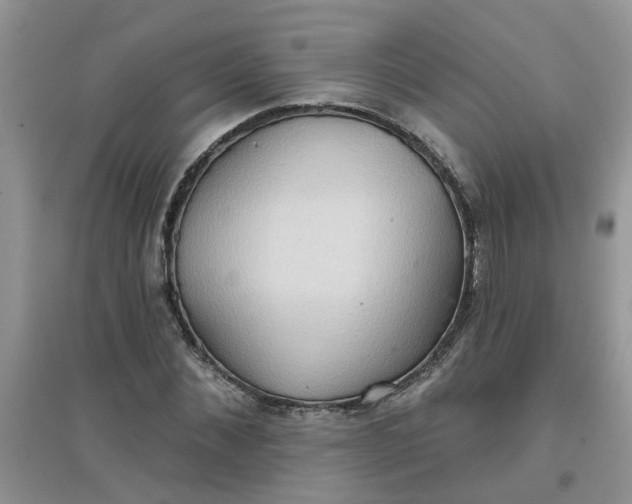 X0000097650876200803142107