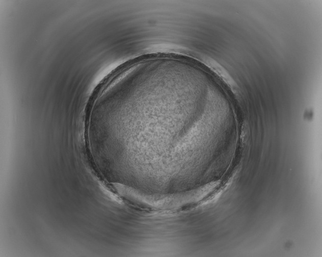 X0000097650877200803142107