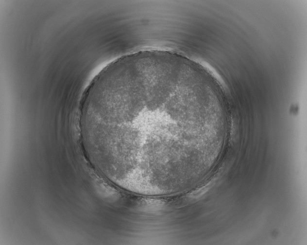 X0000097650878200803142107