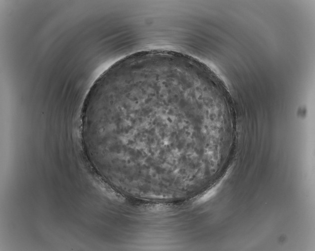 X0000097650879200803142107