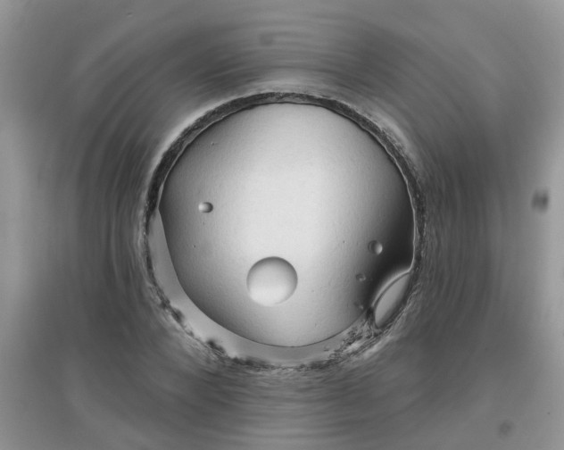 X0000097650880200803142107