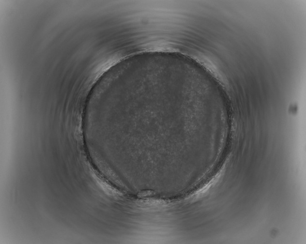 X0000097650881200803142107