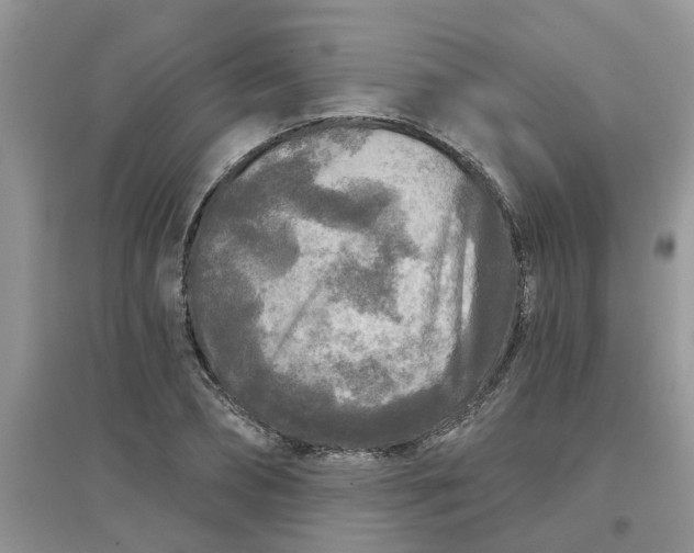 X0000097650882200803142107