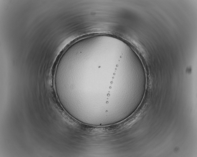 X0000097650883200803142107