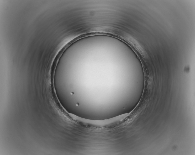 X0000097650884200803142107