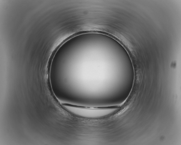 X0000097650885200803142107