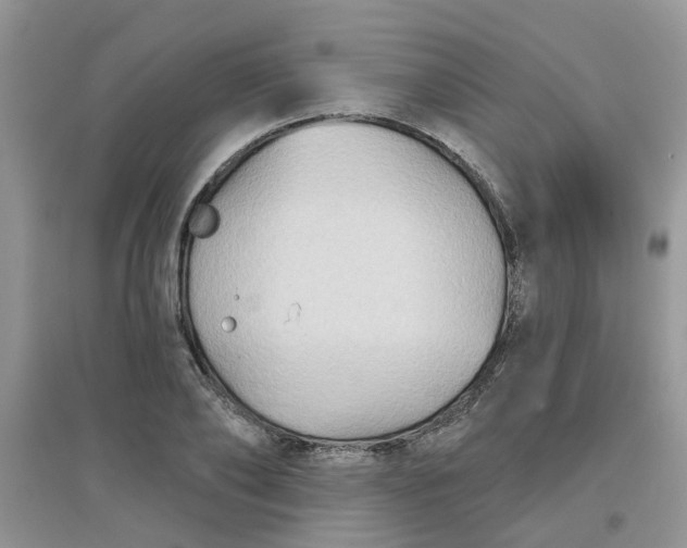 X0000097650886200803142107