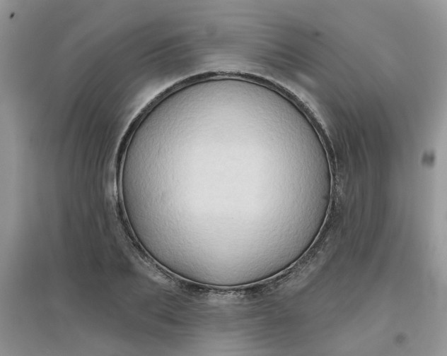 X0000097650887200803142107