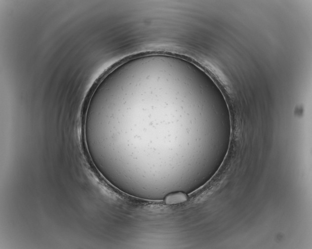 X0000097650888200803142107