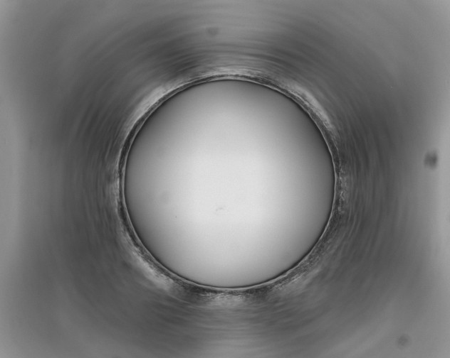 X0000097650890200803142107