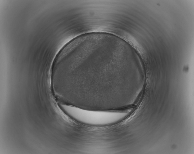 X0000097650892200803142107