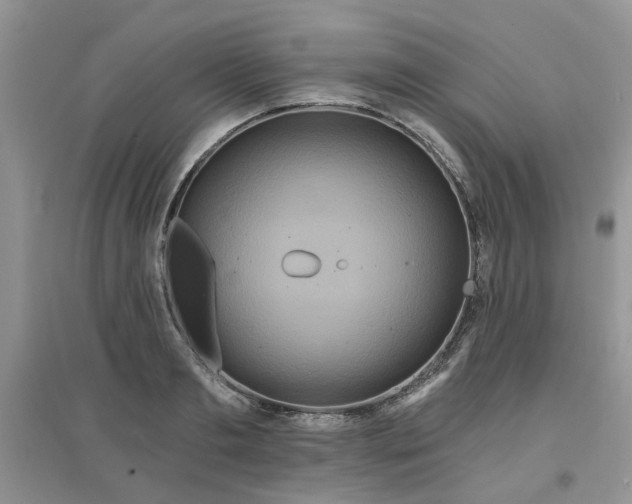 X0000097650893200803142107