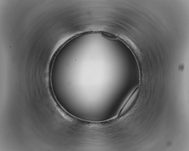 X0000097650894200803142107