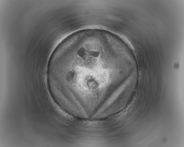 X0000097650895200803142107