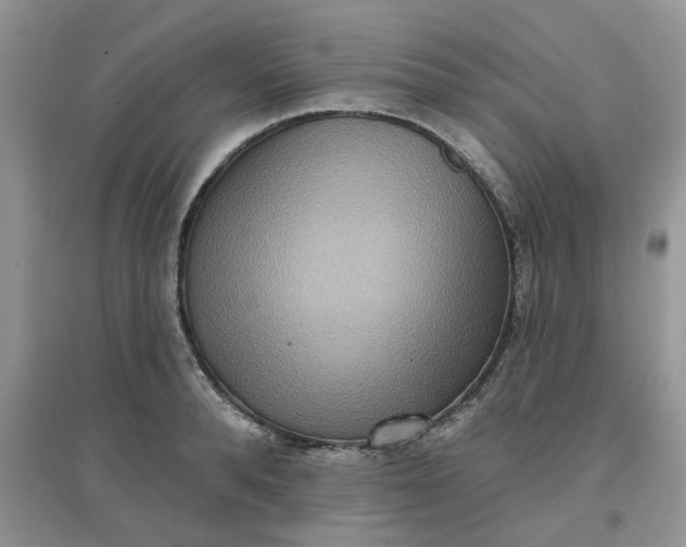 X0000097650896200803142107