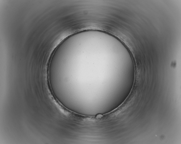 X0000097650898200803142107