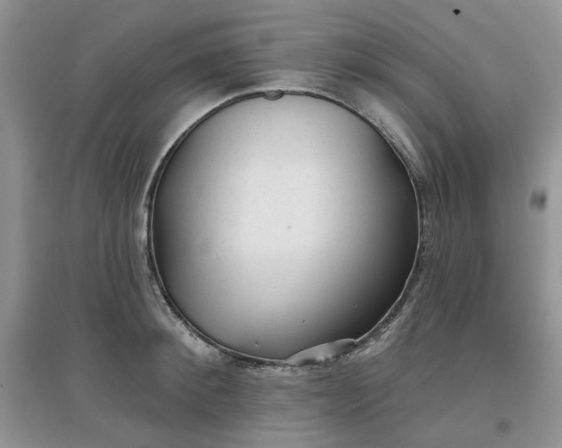 X0000097650900200803142107