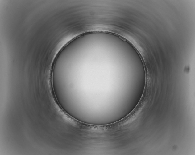 X0000097650901200803142107