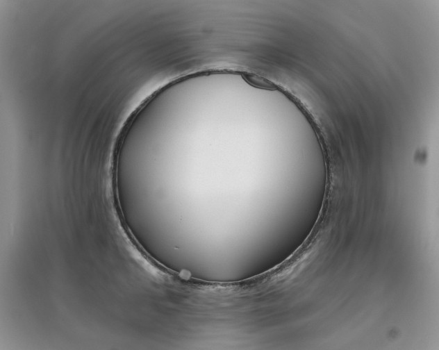 X0000097650902200803142107