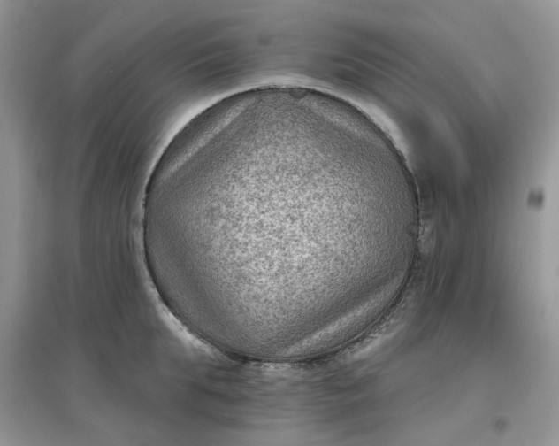 X0000097650903200803142107