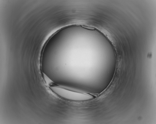 X0000097650904200803142107