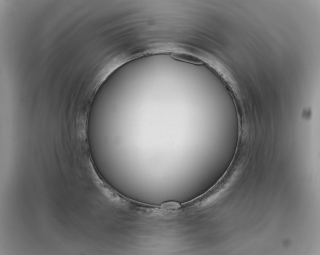 X0000097650905200803142107