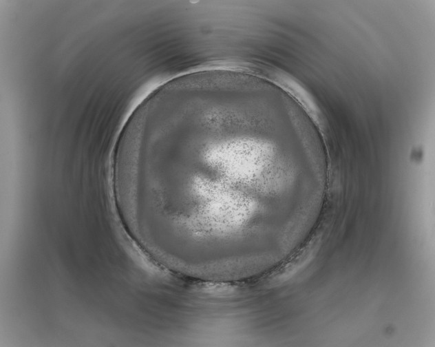 X0000097650907200803142107