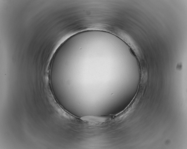 X0000097650908200803142107