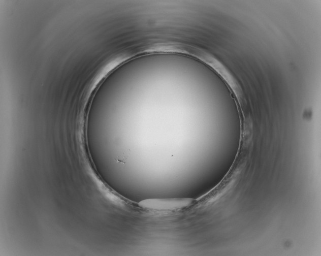 X0000097650909200803142107