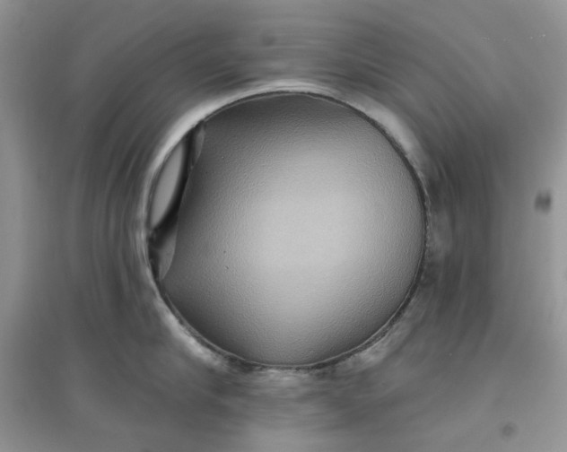 X0000097650910200803142107