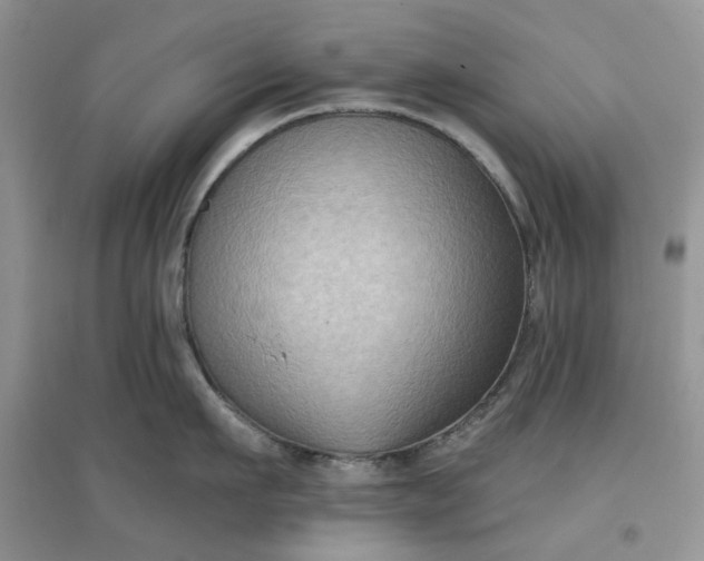 X0000097650911200803142107