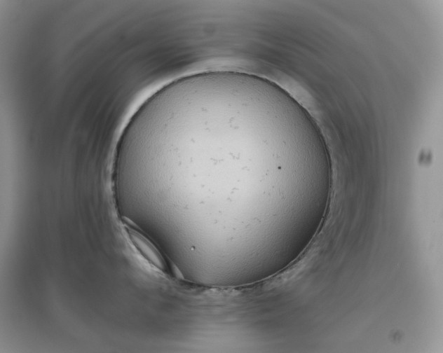 X0000097650912200803142107