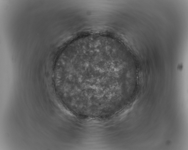 X0000097650913200803142106