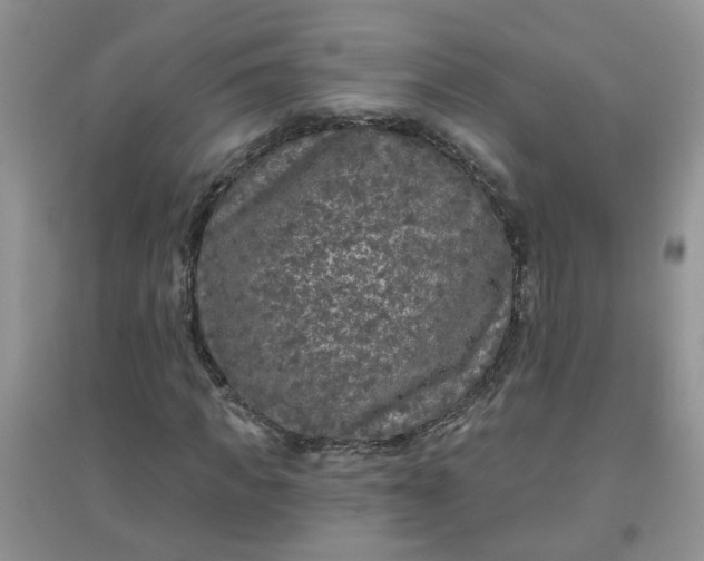 X0000097650917200803142106