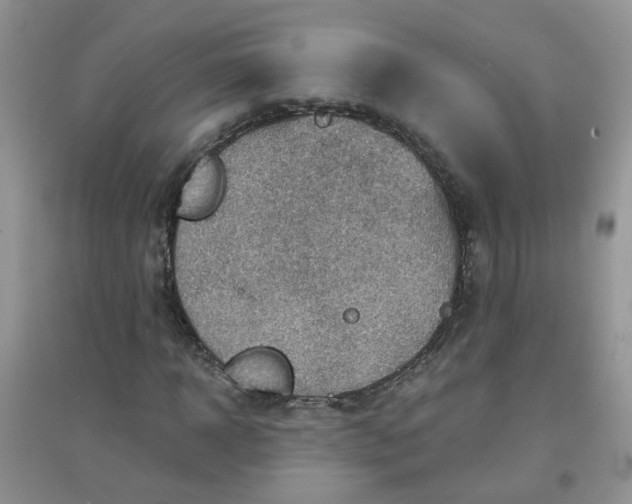 X0000097650918200803142106