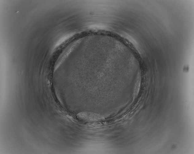 X0000097650919200803142106